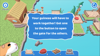 Guinea Pig Bridge! screenshot 6