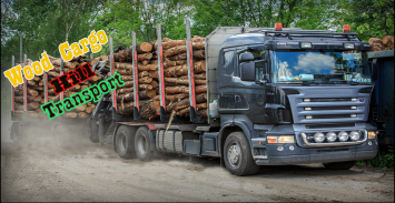 Madeira American Cargo Transporter Truck screenshot 1