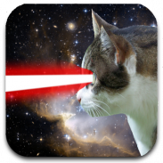 Cat Laser screenshot 1