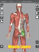 3D Anatomy Lite screenshot 10