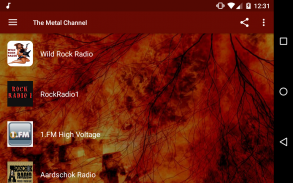 धातु चैनल screenshot 0