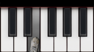 Cat Piano Memory Game screenshot 0