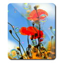 Summer 3D Poppies HD LWP Icon