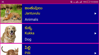 Learn Spoken Telugu From English Pro screenshot 1