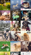Fotos de mascotas - Editor de cara de mascotas screenshot 0