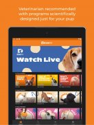 DOGTV: Television for dogs screenshot 2