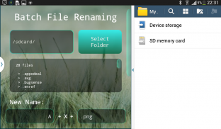 Batch File Rename screenshot 4