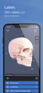 AppSurgeOn - 3D Skull Atlas screenshot 3