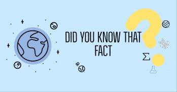 Did You know That Fact? screenshot 1