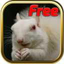 Free Albino Animal Puzzle Game Icon