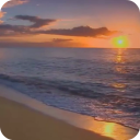 Sunset Beach Live Wallpaper