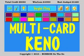 Multi-Card Keno screenshot 5