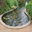 Fish Pond