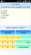 Determinante de la matriz screenshot 0