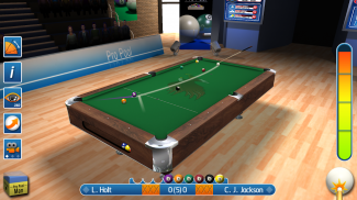 Pro Pool 2012 screenshot 1