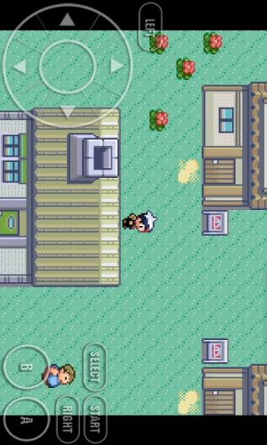 Pokemon: Omega Ruby screenshot 1