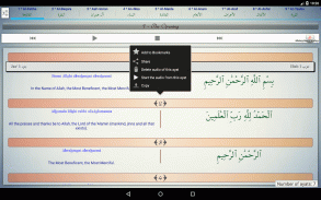 الإسلام: القرآن screenshot 12