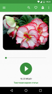 Всё о растениях и цветах screenshot 5