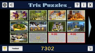 Tris Puzzles screenshot 6