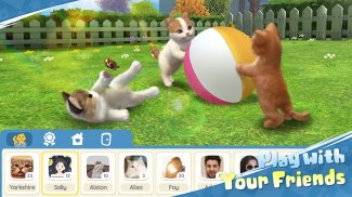 Kitten: Cat Game Simulator screenshot 4
