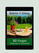 BZ-Vesper screenshot 6