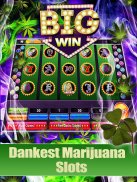 Lucky Weed - Slots grátis screenshot 1