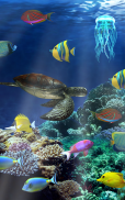 Aquarium live wallpaper screenshot 2