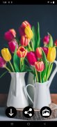 Tulips Wallpapers screenshot 1