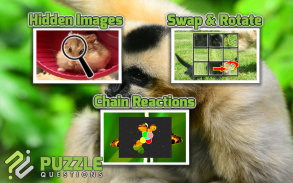 Jogos de animais grátis screenshot 3