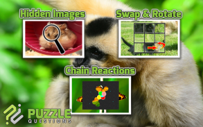 Free Animal Games screenshot 3