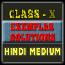 Class 10 math(Hindi)Ncert exemplar Icon