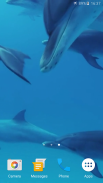 Дельфины Живые Обои screenshot 3