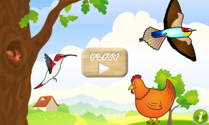 Vögel Spiel für Kinder Baby screenshot 2