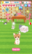 Kitten Bubble screenshot 0