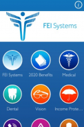 FEI Systems screenshot 1