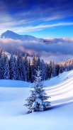 Winter Wallpaper HD screenshot 5