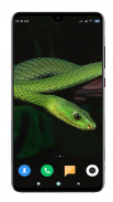Snake Wallpaper HD screenshot 0