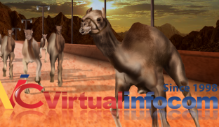 3D гонки на верблюдах screenshot 2