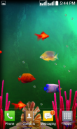 Fishes Live Wallpaper 2020 - Aquarium Koi Bgs screenshot 5