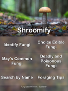 Shroomify - UK Mushroom ID screenshot 13