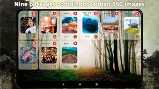 Puzzle d'Endroits Abandonnés screenshot 5