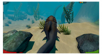 Guide Fish Feed & Grow - Fight The Giant Megalodon APK for Android - Latest  Version (Free Download)