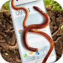 Earthworm in phone slimy joke