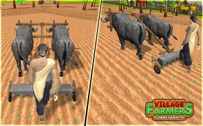 Village Plow Farming Expert:Bull Farmers Simulator screenshot 3