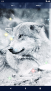 Night Wolf Live Wallpaper screenshot 6