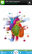 Cartões Flash Anatomia screenshot 5