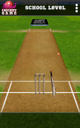 Blind Cricket screenshot 6