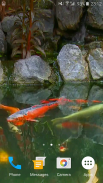 Koi Fish Video Wallpaper 3D screenshot 1