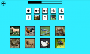 Kids Play & Learn screenshot 4