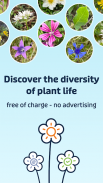 Flora Incognita - identificação de plantas screenshot 5